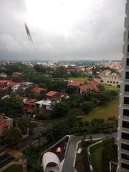 D'Leedon (D10), Condominium #116147632